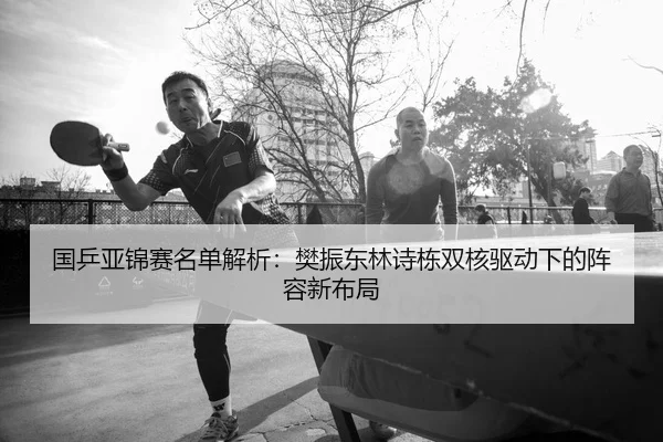 guo-ping-ya-jin-sai-ming-dan-jie-xi-fan-zhen-dong-lin-shi-dong-shuang-he-qu-dong-xia-de-zhen-rong-xin-bu-ju-2-553.jpg